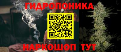 мдпв Обнинск
